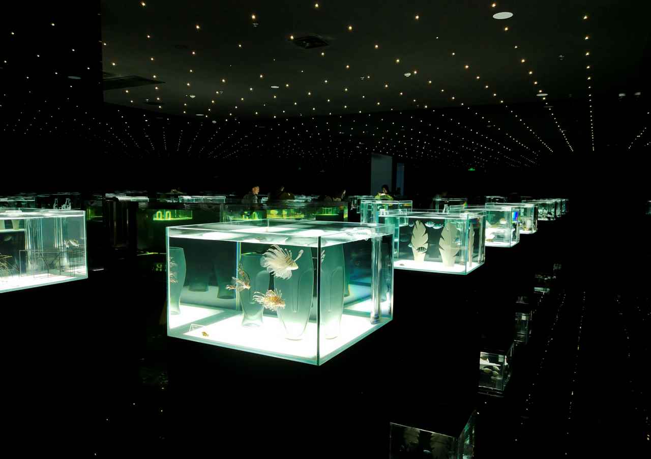 Public Aquarium7