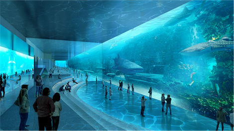 Aquariums Projects