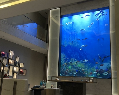 Longhu Jingchenyuan Sales Office Acrylic Fish Aquarium