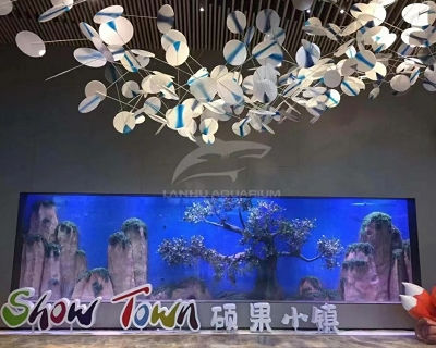 Fuzhou Shuoguo Town Acrylic Fish Tank