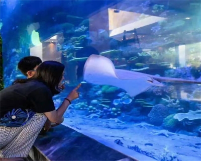 Fujian Zijin Marine World Large Aquarium
