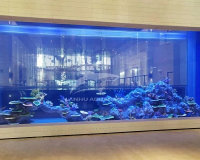 Suzhou Yango Group Sales Office Large Acrylic Aquarium
