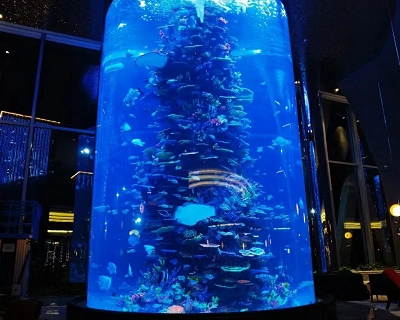 Changsha CIFI Group Acrylic Large Cylinder Aquarium