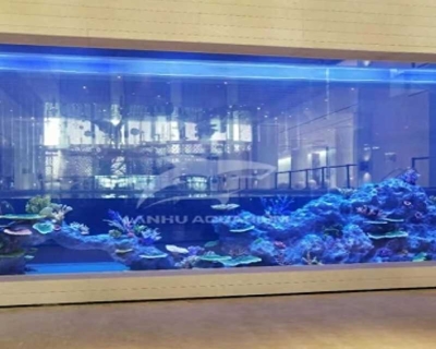 What is the best type of aquarium?