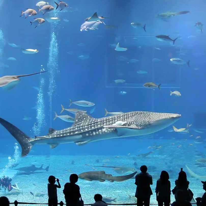 Aquariums Projects