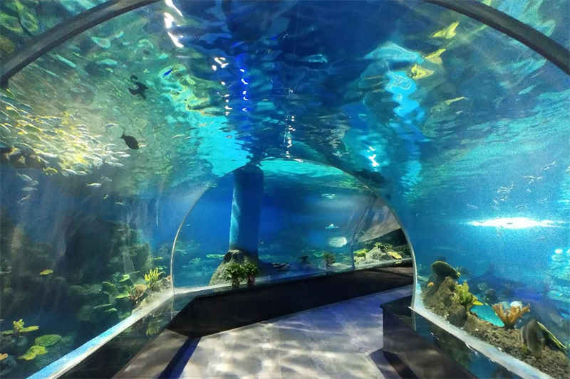 acrylic aquarium tunnel