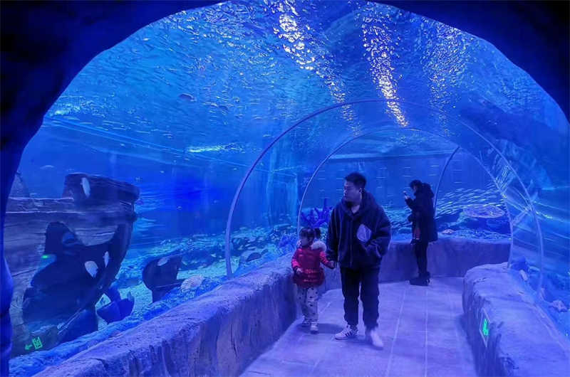 acrylic aquarium tunnel