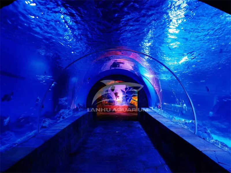 acrylic tunnel aquarium