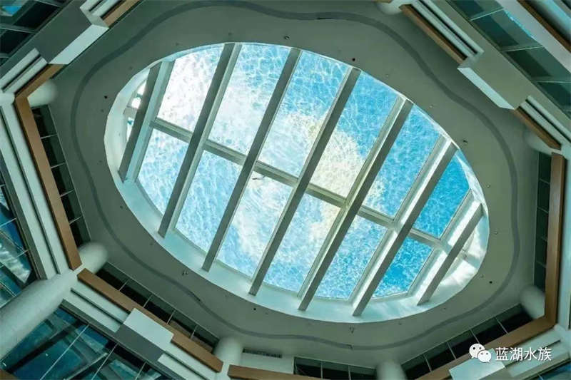 transparent acrylic swimming pool